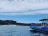 Paseos en barco Punta de Teno barco3-100x75 