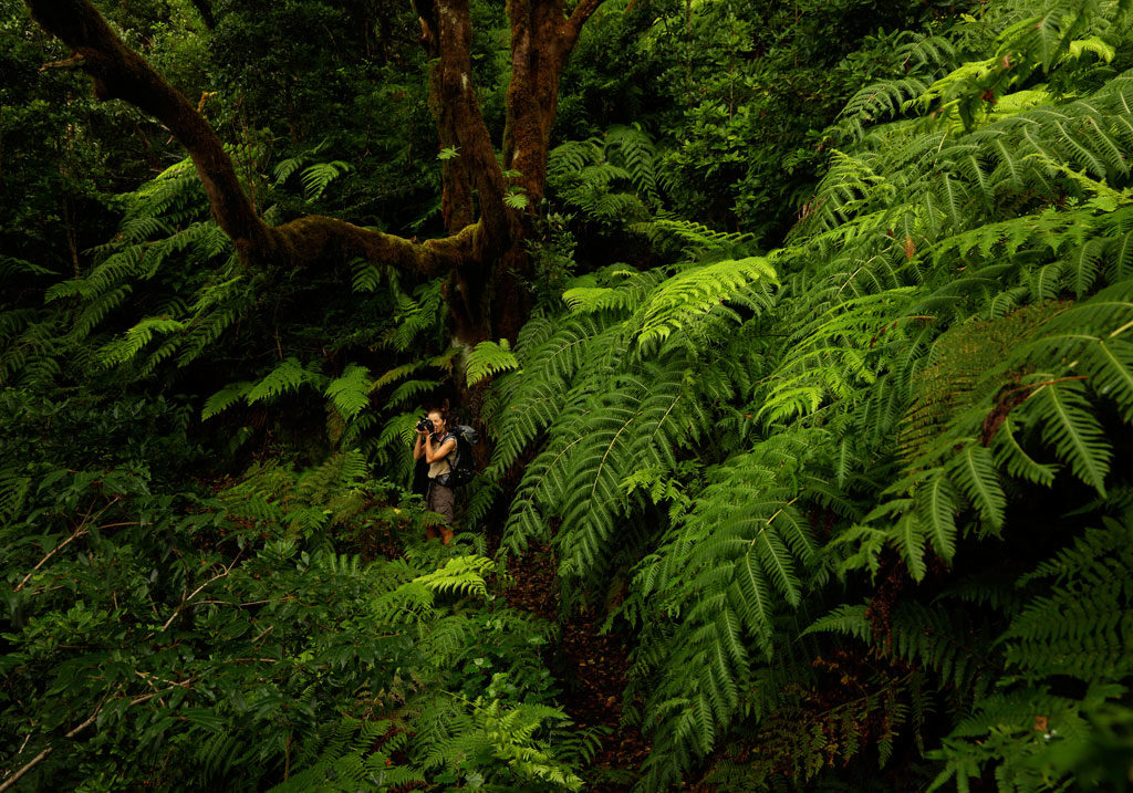 VIP Tour: Anaga