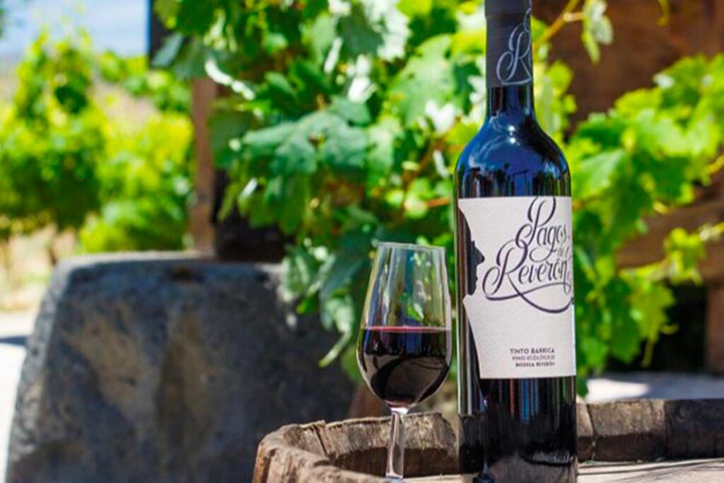 Visita + cata + picoteo. Bodegas Reverón