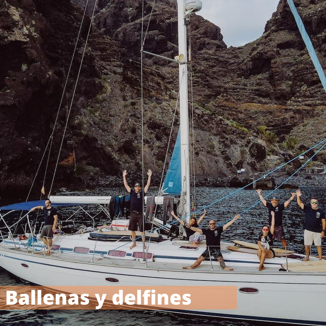 Sustainable Company SDG BALLENAS-Y-DELFINES 