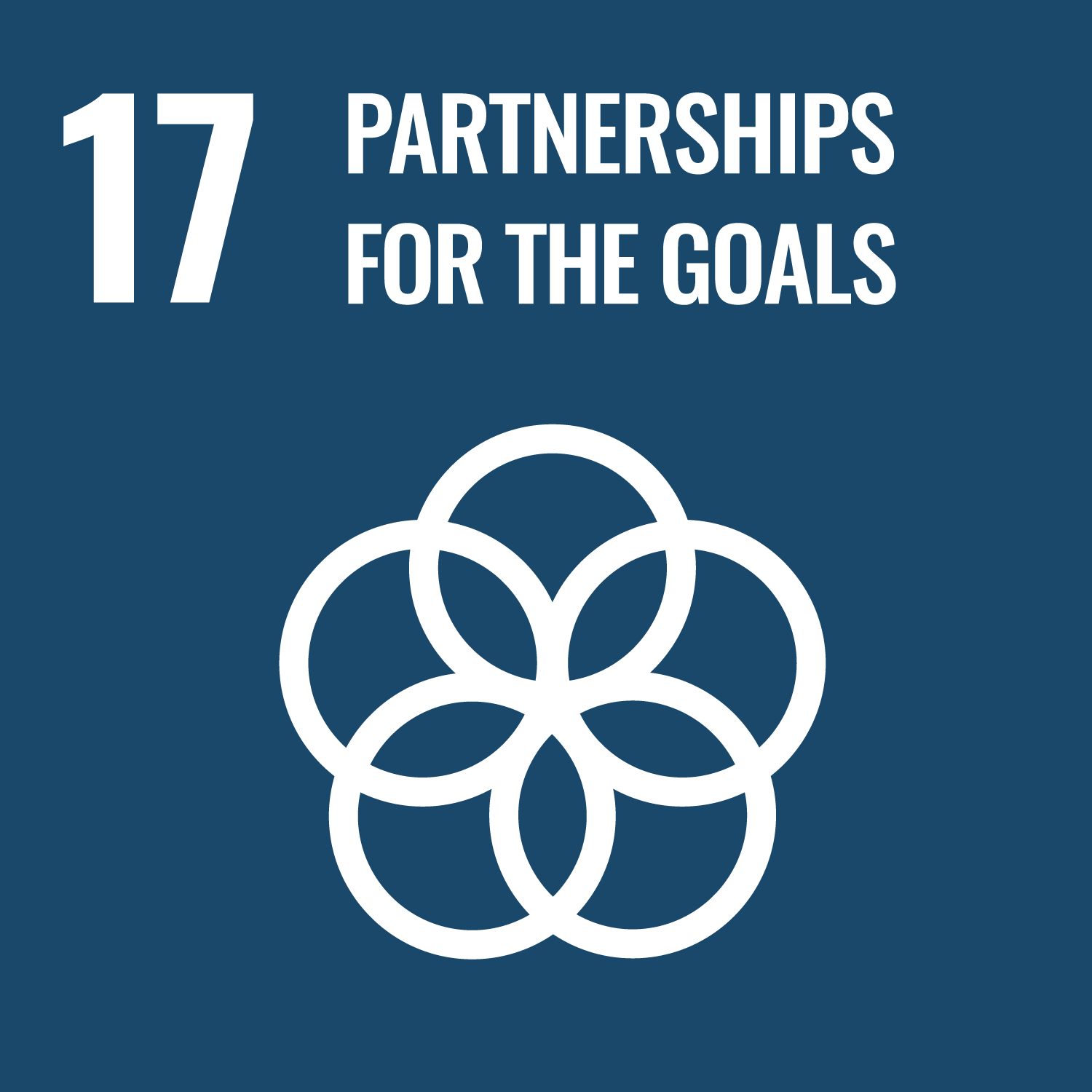 Sustainable Company SDG E-WEB-Goal-17 