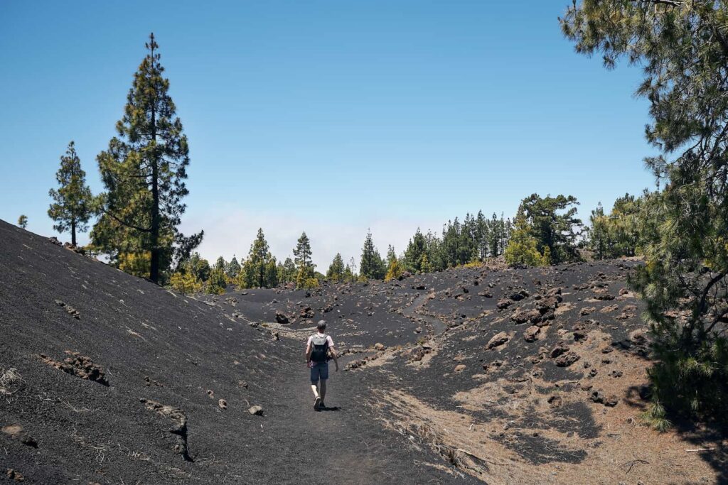 La montaña de Tenerife con Juan Diego Amador