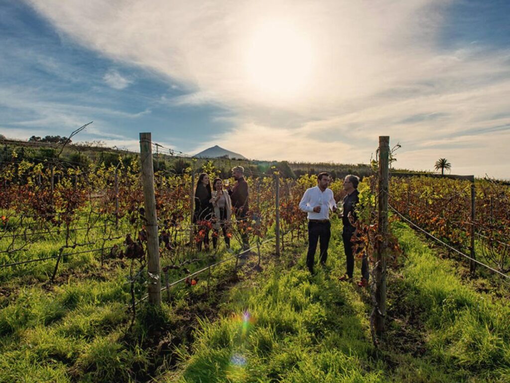 Visita especial + cata de 3 vinos premium Bodegas El Sitio