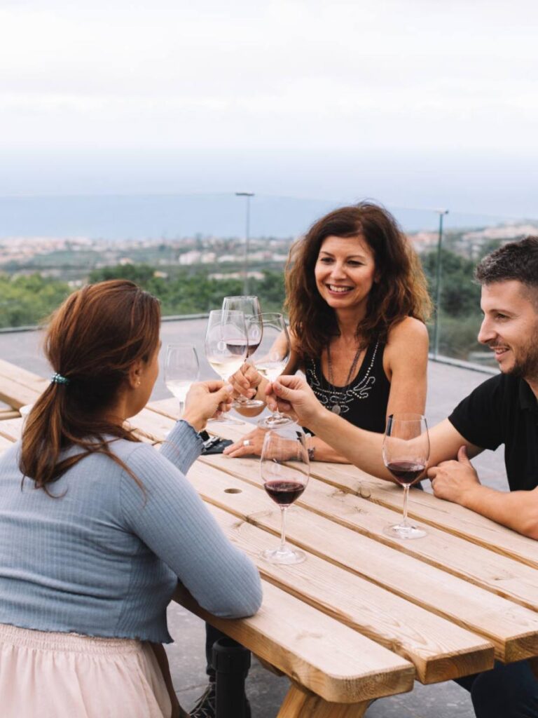 Visita + cata 6 vinos Bodegas Tajinaste