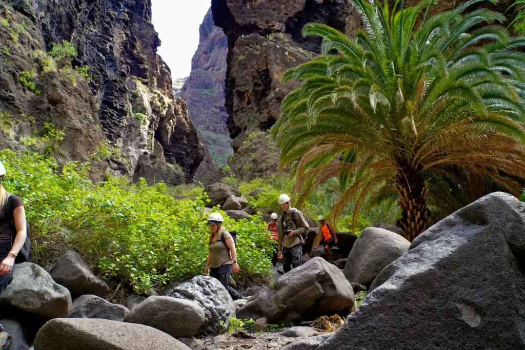 masca-ravine
