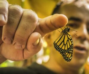Visita ecofinca PlatanoLógico